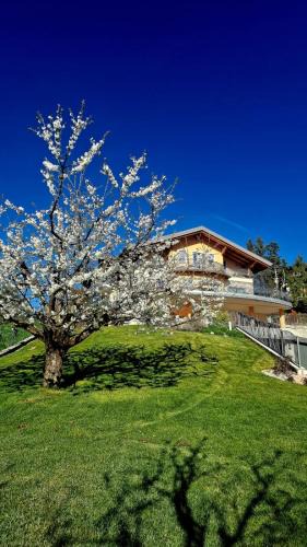 Coredo House | Affittacamere Dolce Sogno