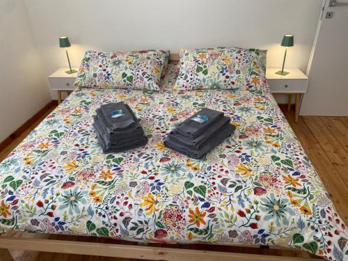 Venzone House | Affittacamere Torrione