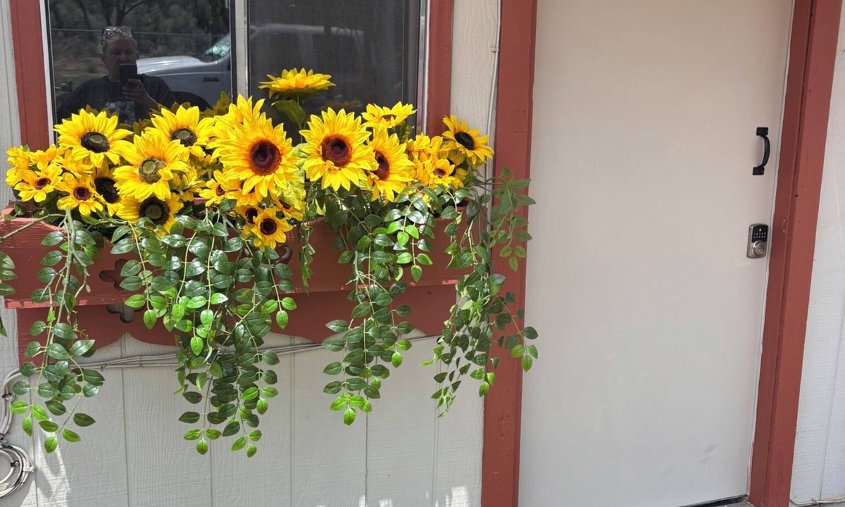 Grand Junction Cabin | Affordable Rustic Retreat 1-bedroom cabin near outdoor adventures in GJ, CO-AC