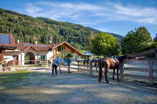 Pellizzano House | Agritur Bontempelli