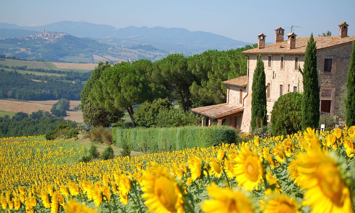 Loreto Other | Agriturismo Casale dei Frontini