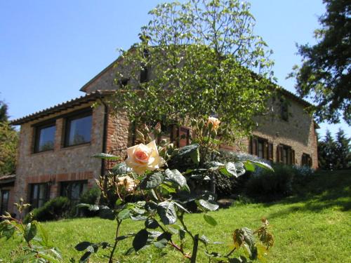 Monteleone d'Orvieto House | Agriturismo Cornieto