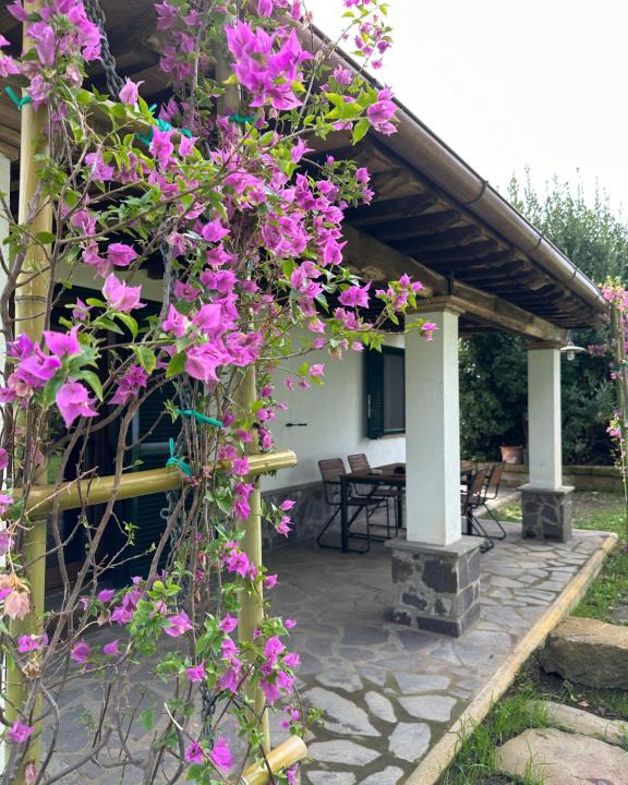 Bolsena Villa | Agriturismo Iride