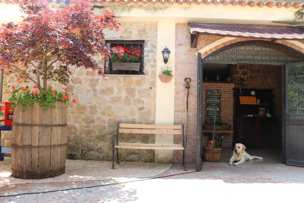 Centola House | Agriturismo San Leonardo