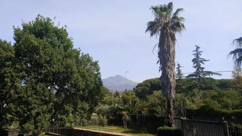 Mascalucia Apartment | Ai 4 gatti