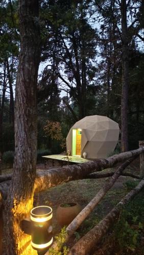 Villa Berna Cabin | Aires de Berna