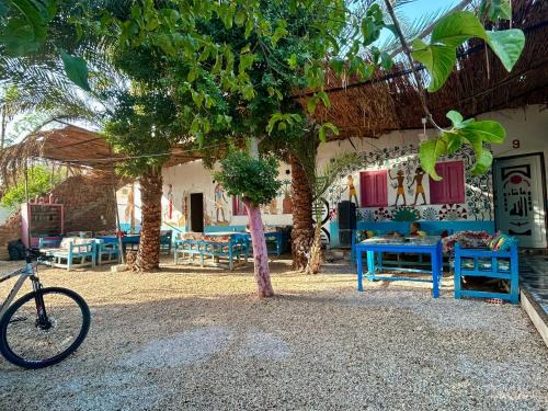 Luxor Other | Al Salam Camp