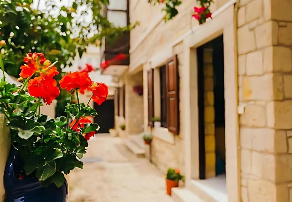 Hacımemis Bed & Breakfast | Alayaz Hotel