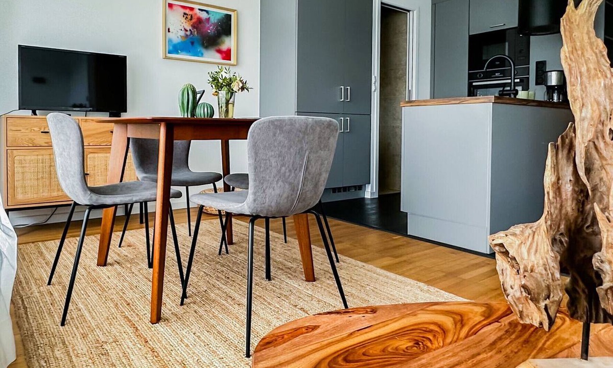 Annecy Old Town Apartment | Albatros