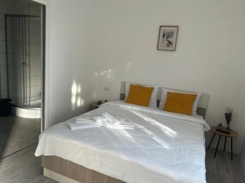 Fagaras House | Alex House