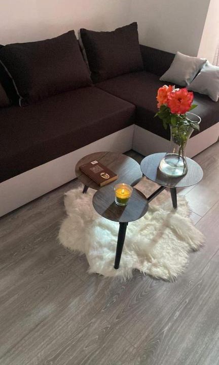 Vaslui Apartment | Alexa Star