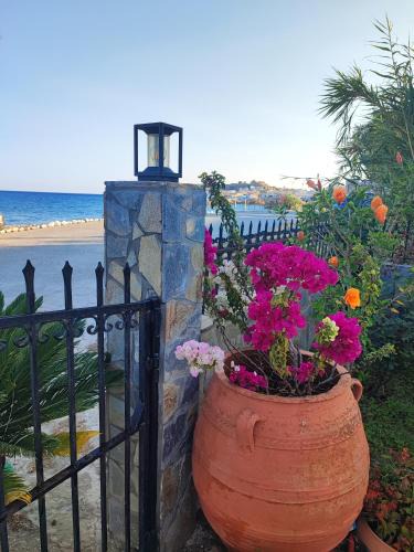 Palaiochora Hotel | Alexia Rooms