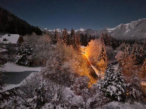 Station de Drouzin le Mont Apartment | Alpine 1 bed Chalet with beautiful views