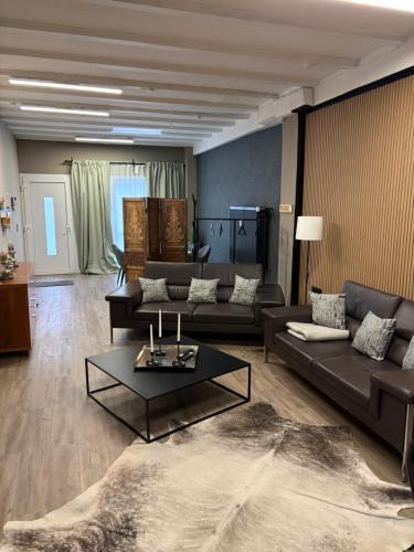 Hallenberg Apartment | Altstadt Quartier Hallenberg - Modernes Ferienappartment