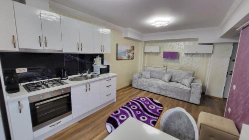 Scheia Apartment | Aly Apartaments Suceava 2