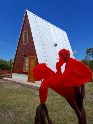 San Agustin de Valle Fertil House | Amancay Cabaña alpina en Valle Fértil