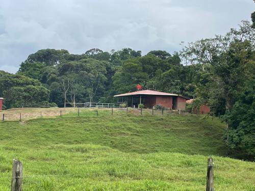 Chilamate Apartment | Amazilia