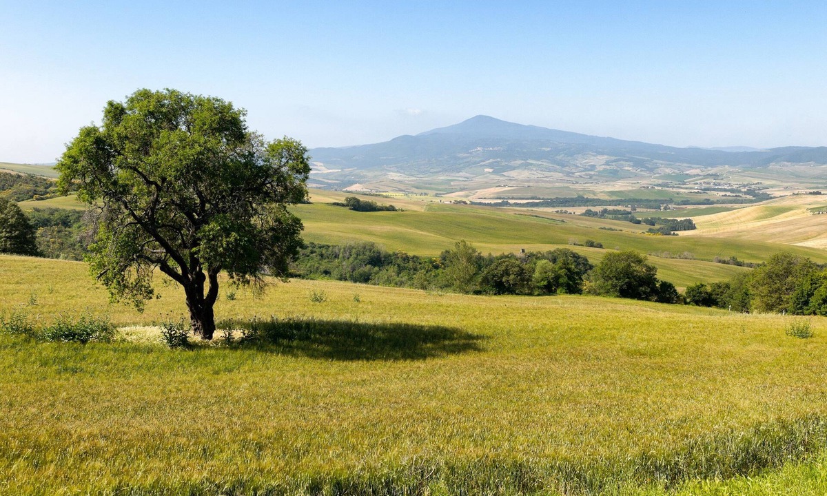 Pienza Villa | Amazing view 3 bdr villa with pool & A/C in Pienza | Leccino