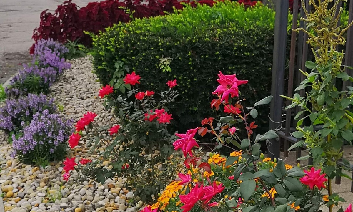 Columbus Hotel | American Value Inn