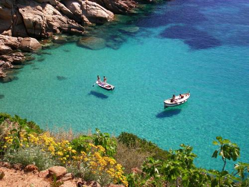 Giglio Campese Apartment | Ammiraglio