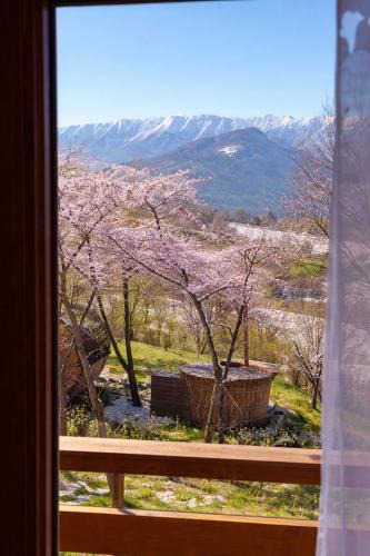 Bran Ski Chalet | Ammon Mountain Villas