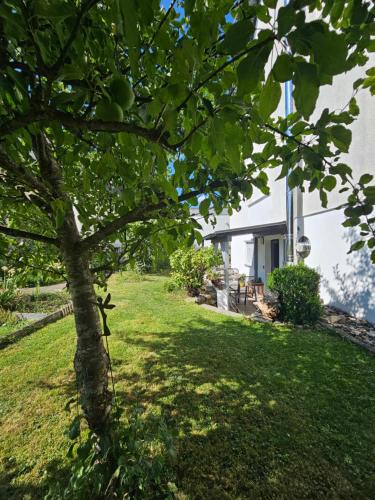 Muensingen Apartment | Ammonit