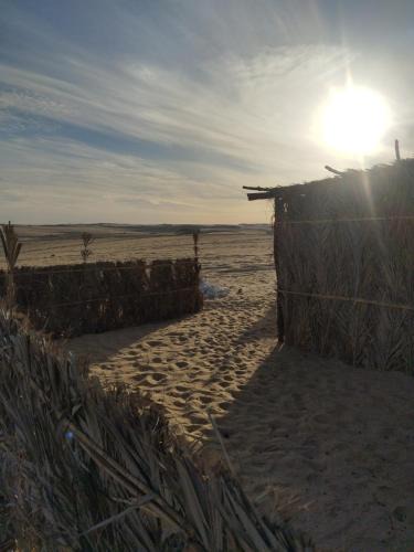 Siwa Other | Amon Whisper Dunes