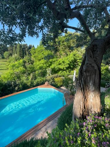 Campiglia Marittima Bed & Breakfast | Amore a prima vista b&b