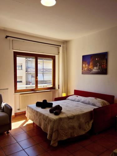Perugia Apartment | Ampio e luminoso Monolocale