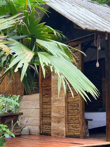 Nuqui Cabin | Ancestra black ecolodge