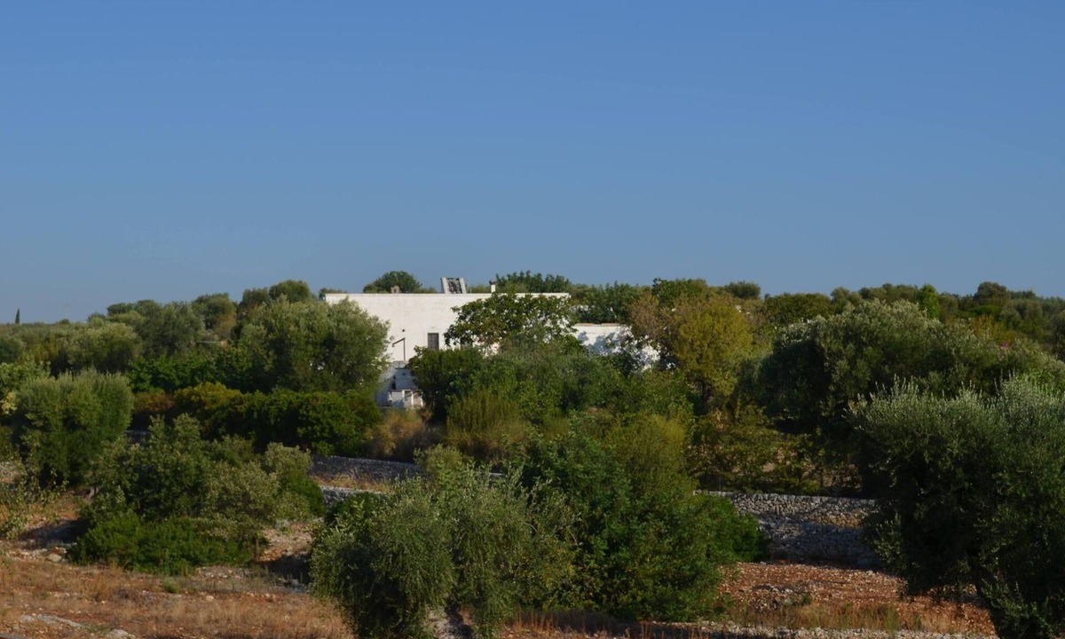 Cozzana House | Ancient farmhouse among centenary olive trees