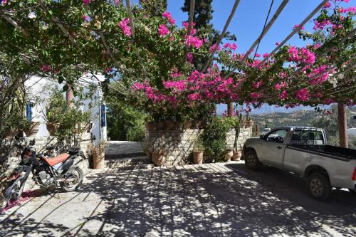 Kamilari Apartment | ANEVOLEMA