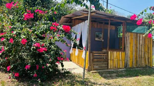 Cedros House | Anez Cabin'S