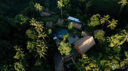 Payangan Resort | Anima Villa Ubud