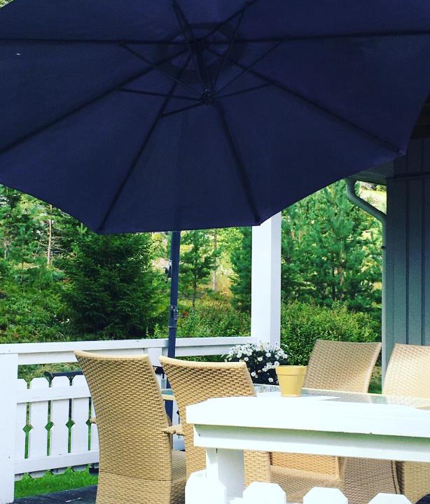 Bolkesjo House | Annes House
