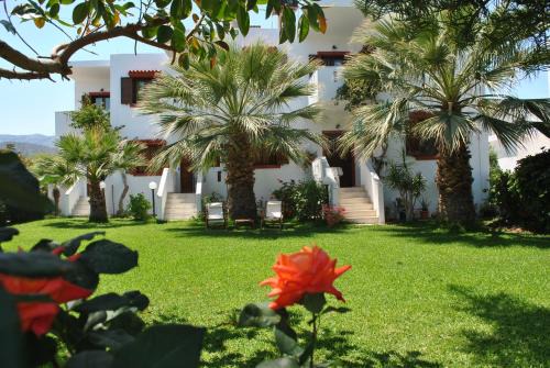 Milatos Beach Apartment | Antigoni Apartments 'Olive Room'