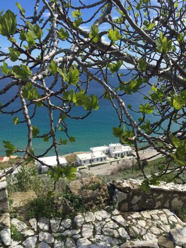 Skyros Town Apartment | Antigoni