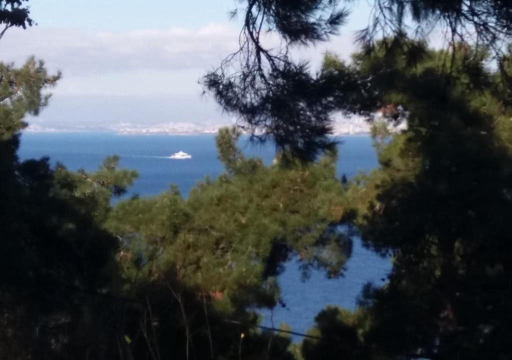 Adalar Apartment | Apartament Ada