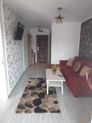 Saturn Apartment | Apartament Alina