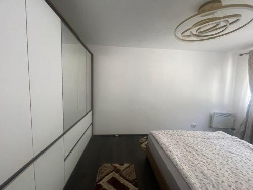 Baile Herculane Apartment | Apartament Baile Herculane