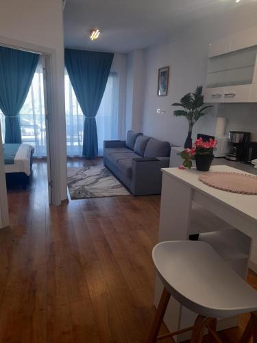Saturn Apartment | Apartament Camelia