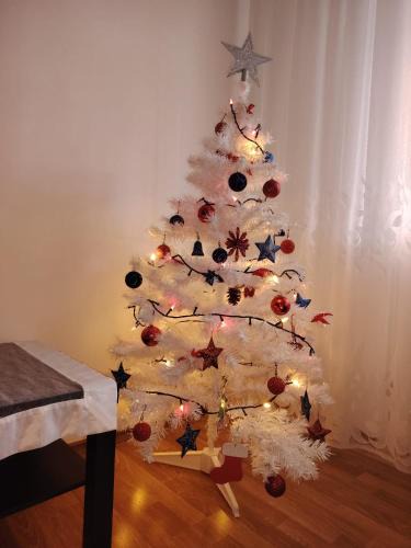Piatra Neamt Apartment | Apartament Central