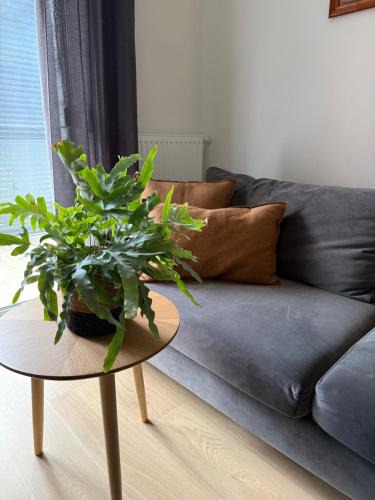 Torun Apartment | Apartament Centro 63 z bezpłatnym garażem