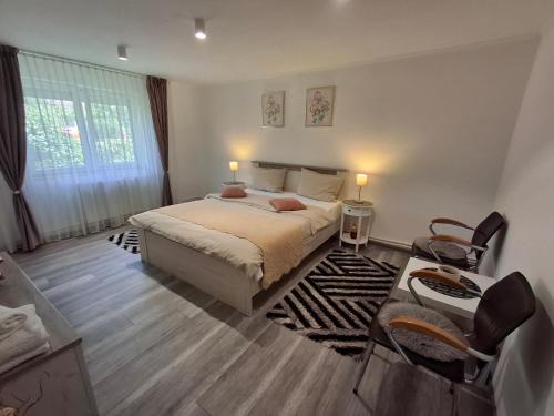 Emanoil Gojdu Apartment | Apartament Claudia