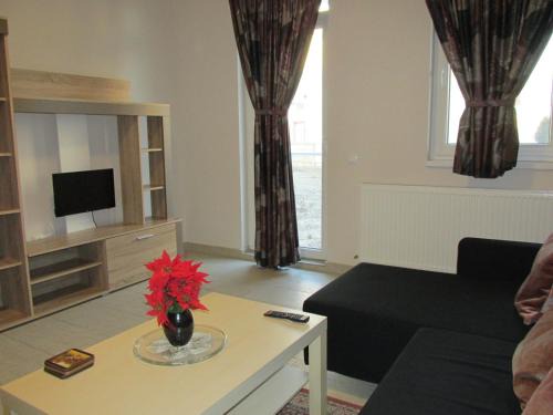 Floresti Apartment | Apartament Daniela