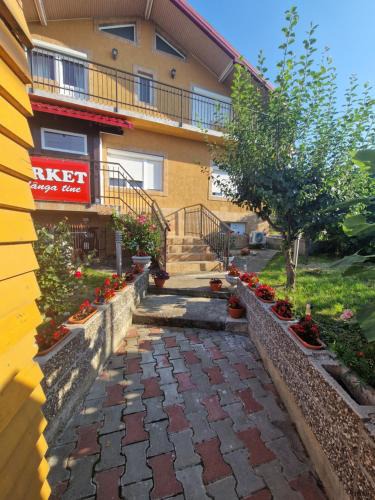 Pascani Apartment | Apartament in vila