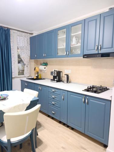Baia Mare Apartment | Apartament Karina