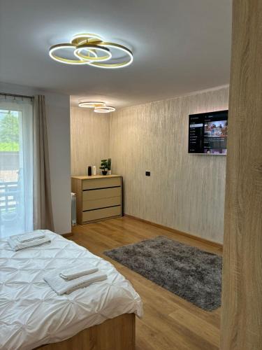 Viseu de Sus Apartment | Apartament Luxury