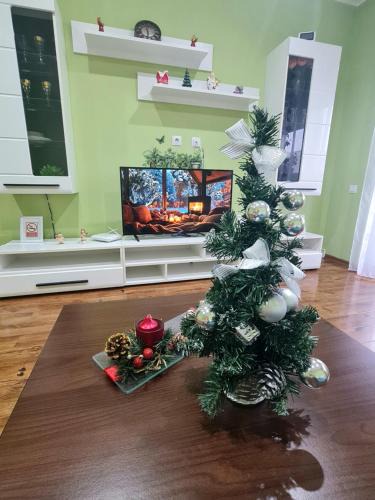Medias Apartment | Apartament modern Cristina&Jessica