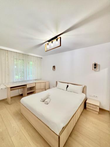 Satu Mare Apartment | Apartament Modern langa Mall
